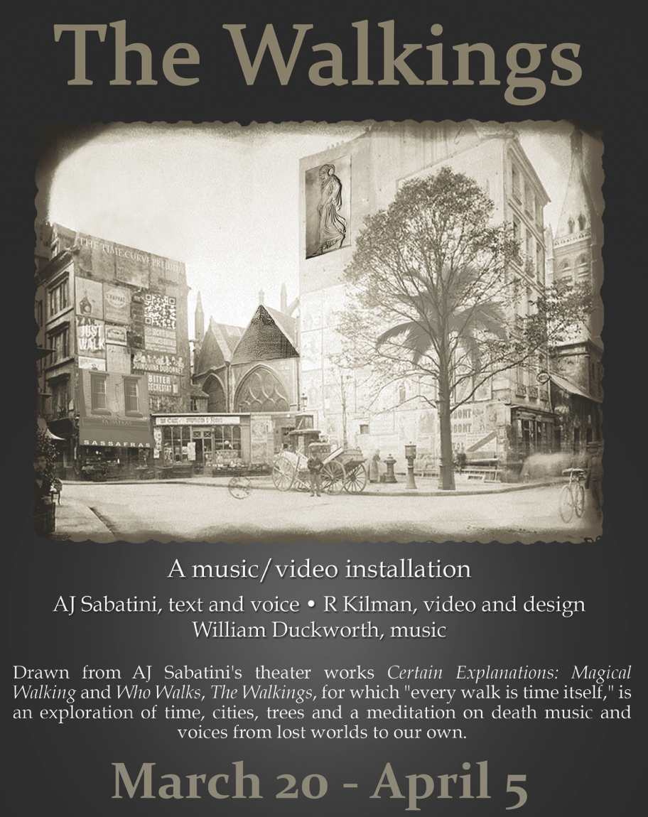 The Walkings — multimedia installation poster